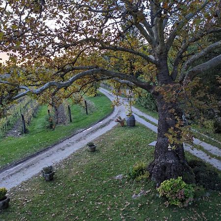 فندق Castel San Mauro غوريزيا المظهر الخارجي الصورة